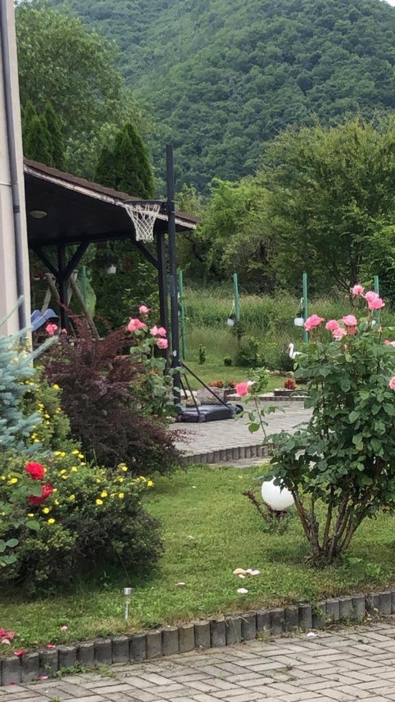 Pensiunea Casa Cu Flori Cisnădioara Exterior foto