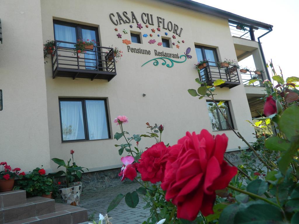Pensiunea Casa Cu Flori Cisnădioara Exterior foto