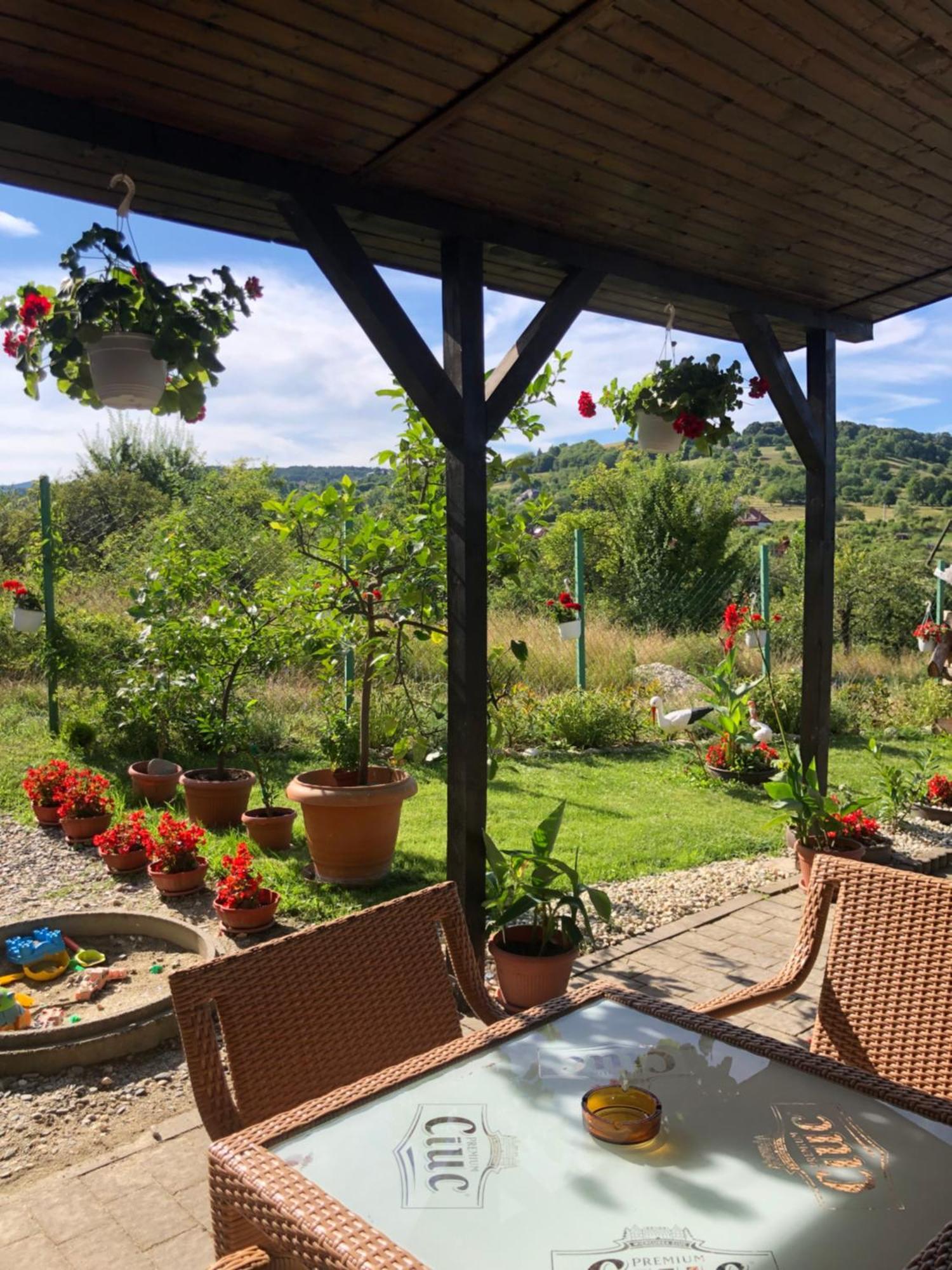 Pensiunea Casa Cu Flori Cisnădioara Exterior foto