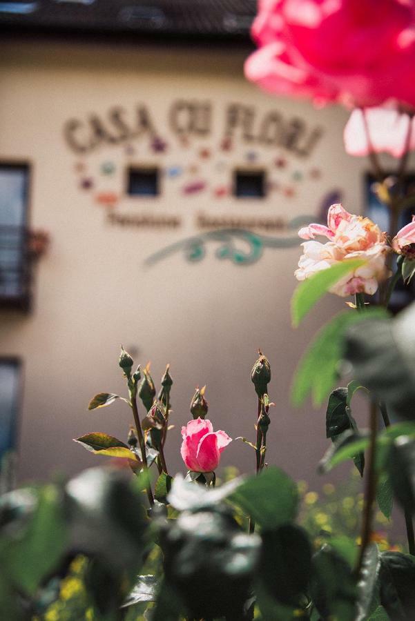 Pensiunea Casa Cu Flori Cisnădioara Exterior foto